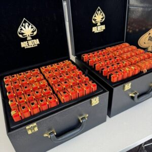 Ace Ultra 2G Black Badge Collection