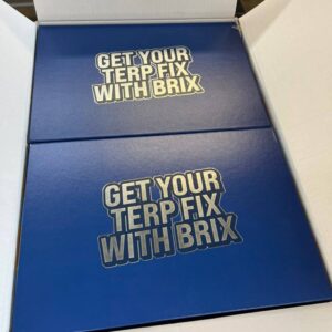 Brix 2G Disposable